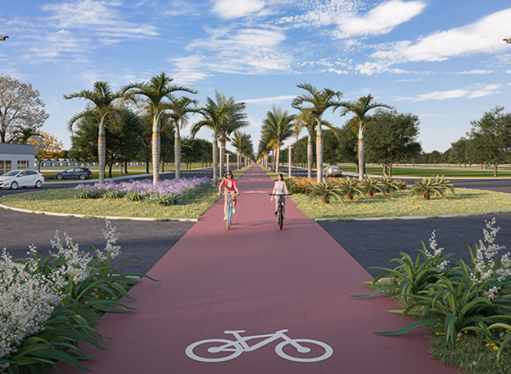 AvenidaPrincipal_Theodoro