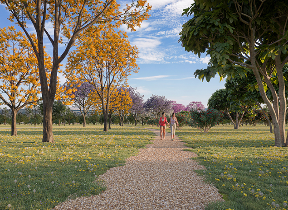 BosqueCaminhada_Theodoro